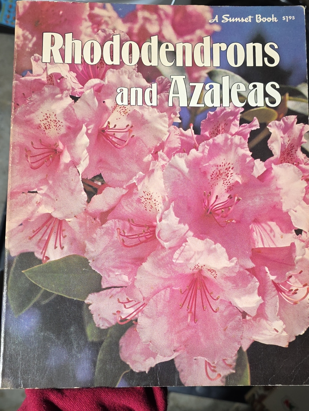 Rhododendrons and Azaleas Pink Floral Book by